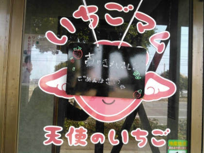 wp-1456638273573 image